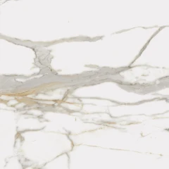 610010001679 Charme Evo Calacatta Nat Ret 80x80
