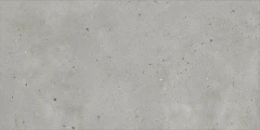 610010005694 Avantgarde Silver Ret 60x120
