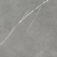610015000649 Forte dei Marmi Elegant Grey 80x80