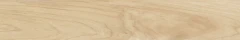610010000809 Maison Honey 20x120