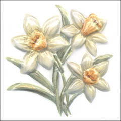 Плитка TFA011 Оранжерея Нарциссы 9.99.9