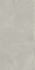 610010002679 Continuum Silver 60x120