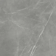 610010002718 Forte dei Marmi Elegant Grey Rett 80x80