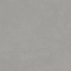 610010002658 Rinascente Grey LASTRA 20mm R11 60x60