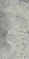 610010001196 Charme Extra Silver Nat Ret 60x120