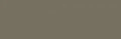 600080000348 Element Terra Brick 8x24