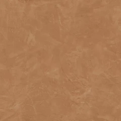 610015000565 Thesis Senape Lap 60x60