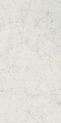 610010001194 Charme Extra Carrara Nat Ret 60x120