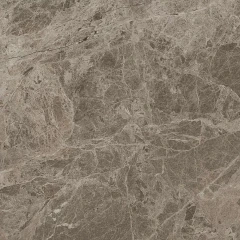 610010001949 Victory Taupe 60 Ret 60x60
