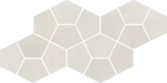 620110000181 Continuum Polar Mosaico Prism 41.3x20.5