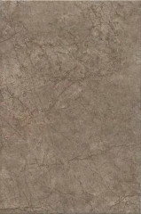 Плитка 8354 Каприччо коричневый глянцевый 20x30