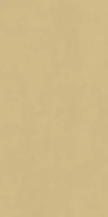 600010002373 Surface Gold Yellow Ret 80x160