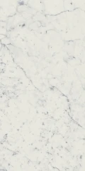 610015000356 Charme Extra Carrara Nat Ret 30x60