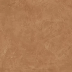 610010001863 Thesis Senape-Тезис Сенапе 60X60