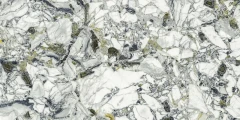 610015000695 F.d.M.Quark Ceppo Apuano Forest Lapp Rett 80x160