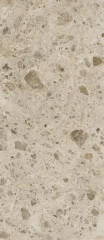 600180000033 Continuum Stone Beige 120x278
