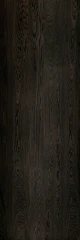 LAMF004682 Kauri Moro 5 1000x3000