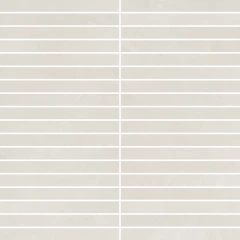  610110001025 Continuum Polar Mosaico Strip 30x30