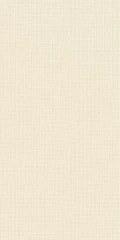 600010002161 Room Beige Texture 40x80