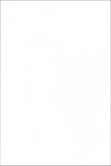 Плитка 8063 Тигр (Аджанта) белый 20x30