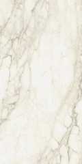 610015000672 Carrara Lux 80x160