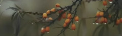 Плитка OSA1189016 Тракай глянцевый 8.5x28.5