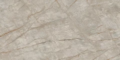 610010002187 Empire Silver Root 60x120