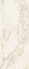 610010002782 Carrara Ret 80x160