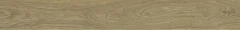 610010005706 Avantgarde Oak Ret 20x160